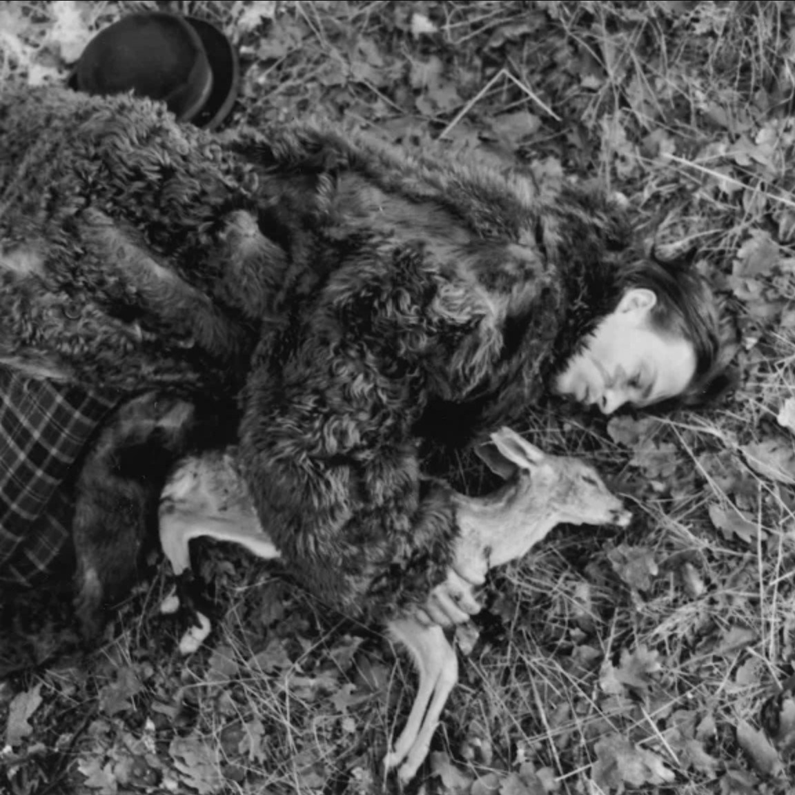 Go to YL Lai's profile