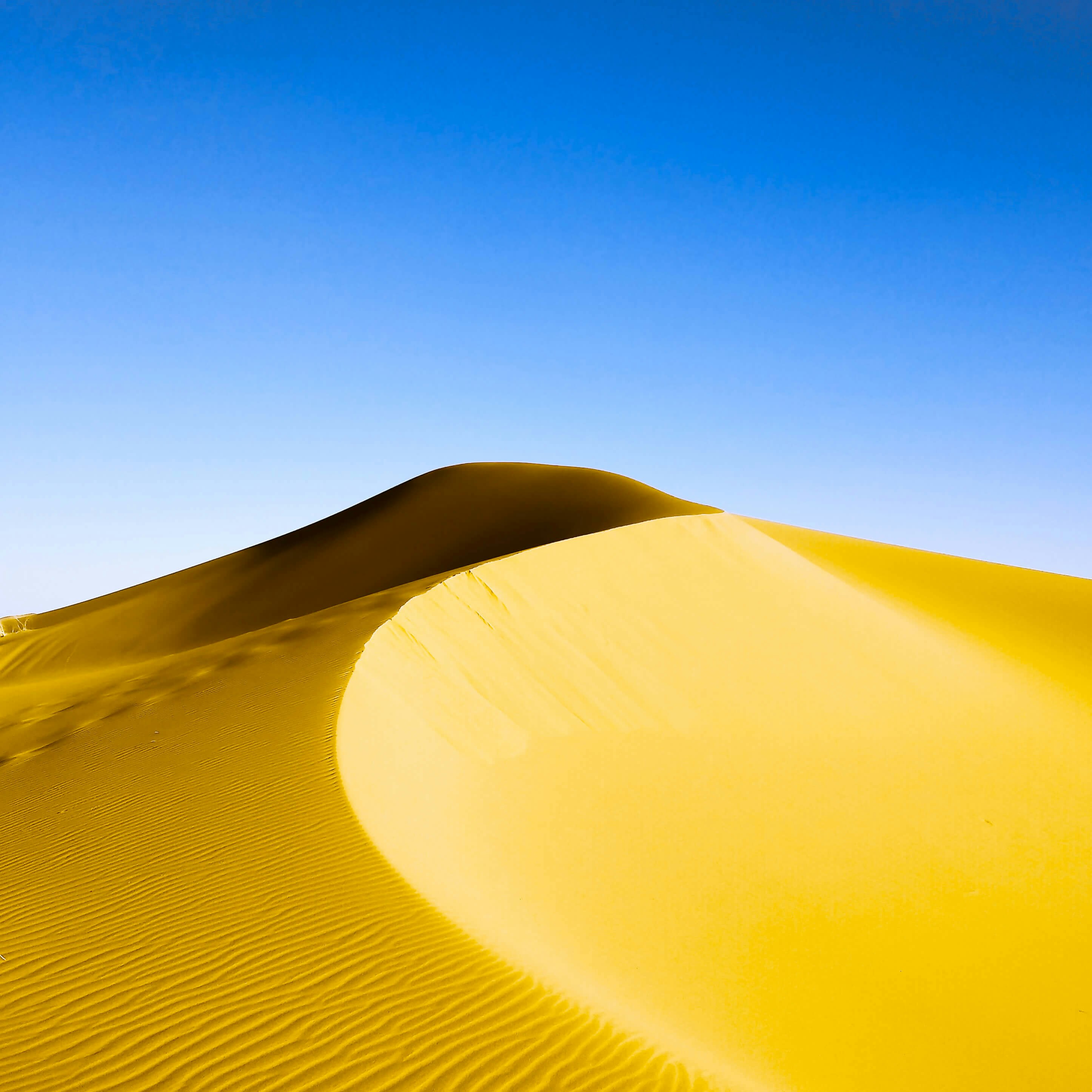 Go to Eugene Ga's profile