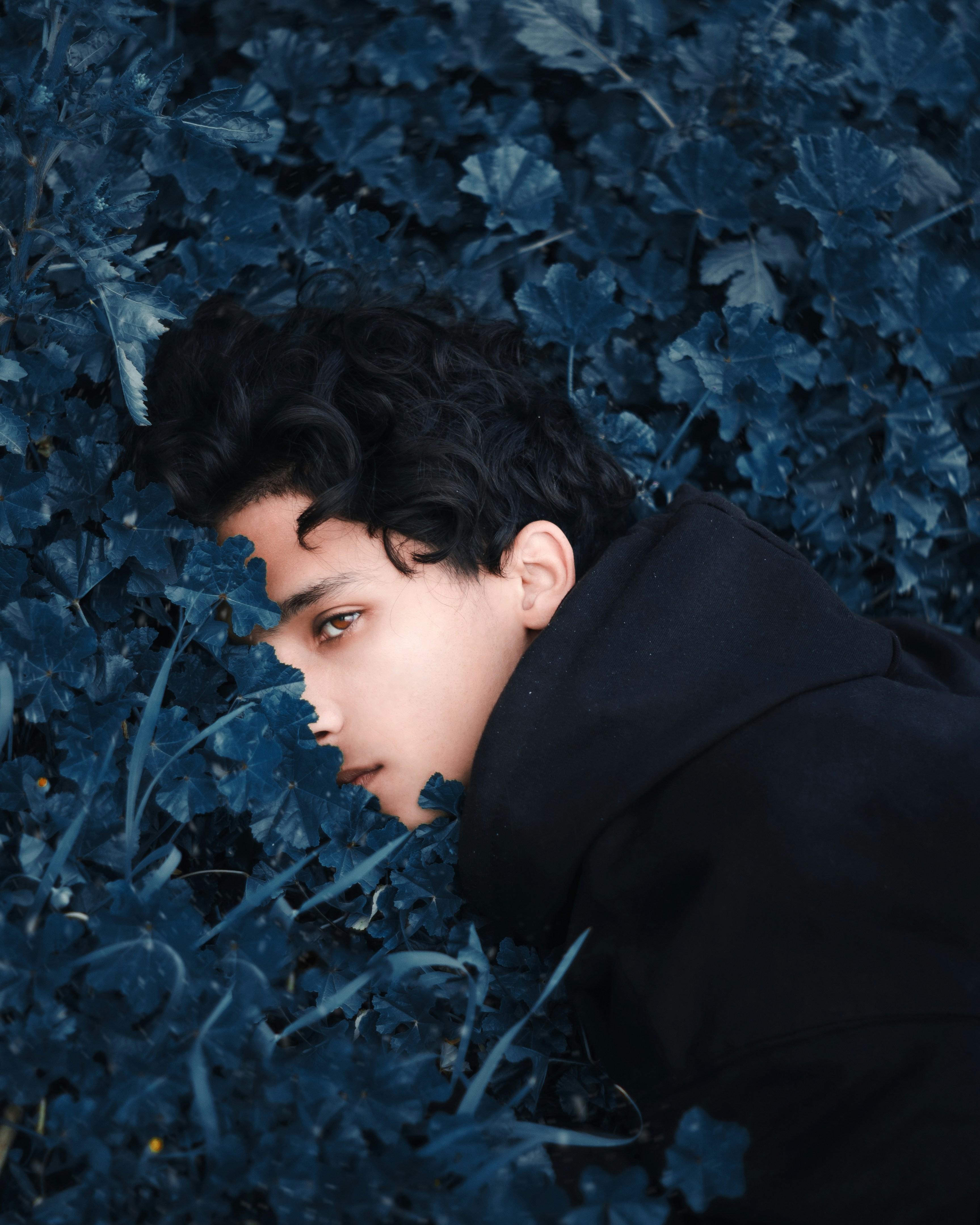 Go to alli yousfi's profile