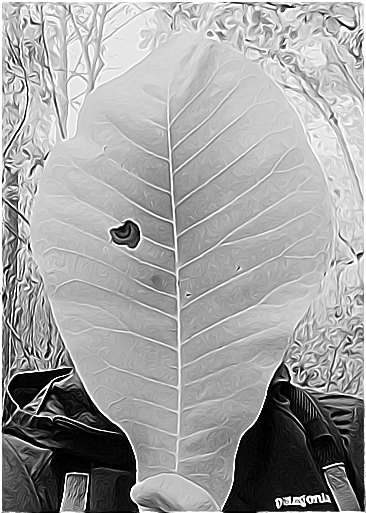 Go to John Bewlay's profile