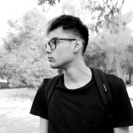 Go to Victor Manuel Peña Montiel's profile