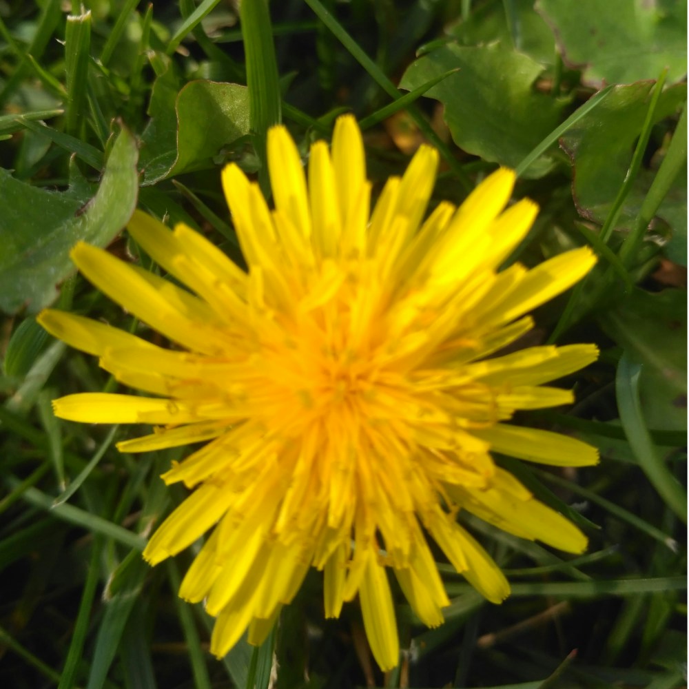 Fele feleveti의 프로필로 이동