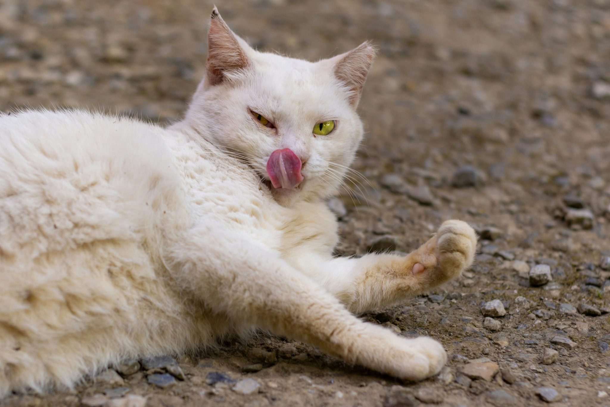 Go to uomo libero's profile