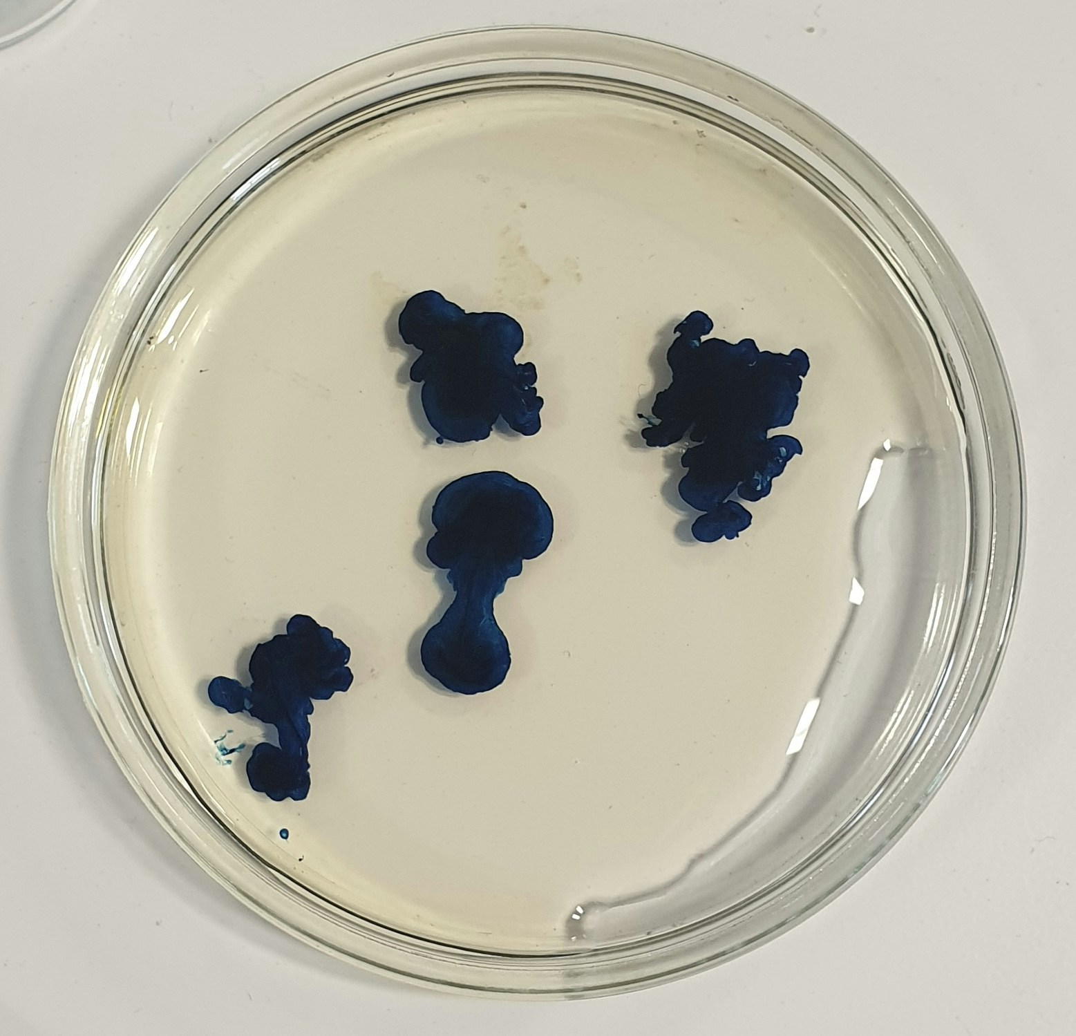 Go to Nino Hille's profile