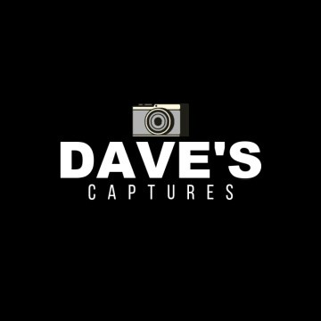 Go to David Rodezno's profile