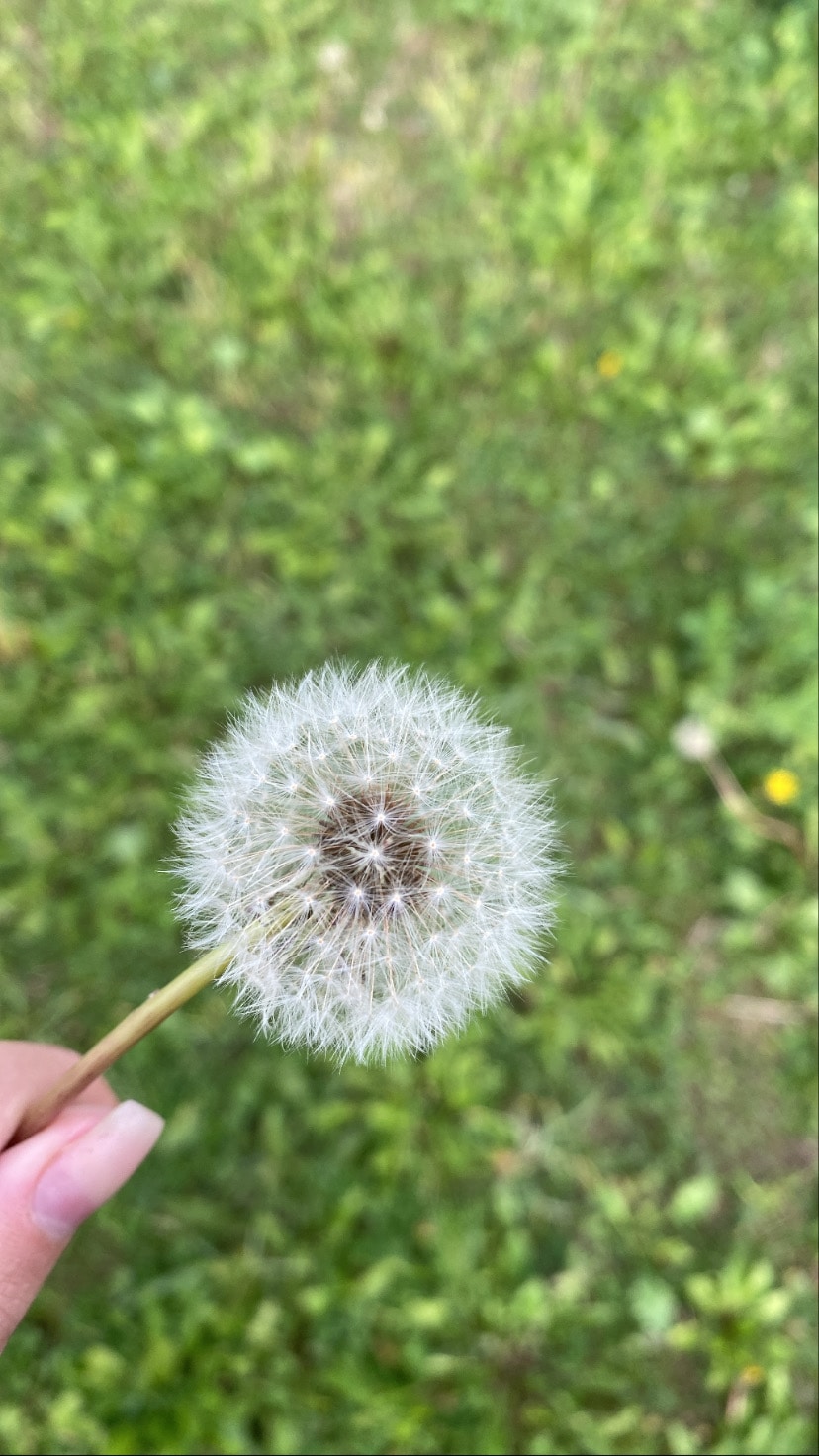 Go to Klea Neçaj's profile