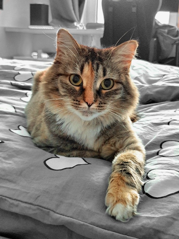 Go to Ilgiz Yuzykaev's profile