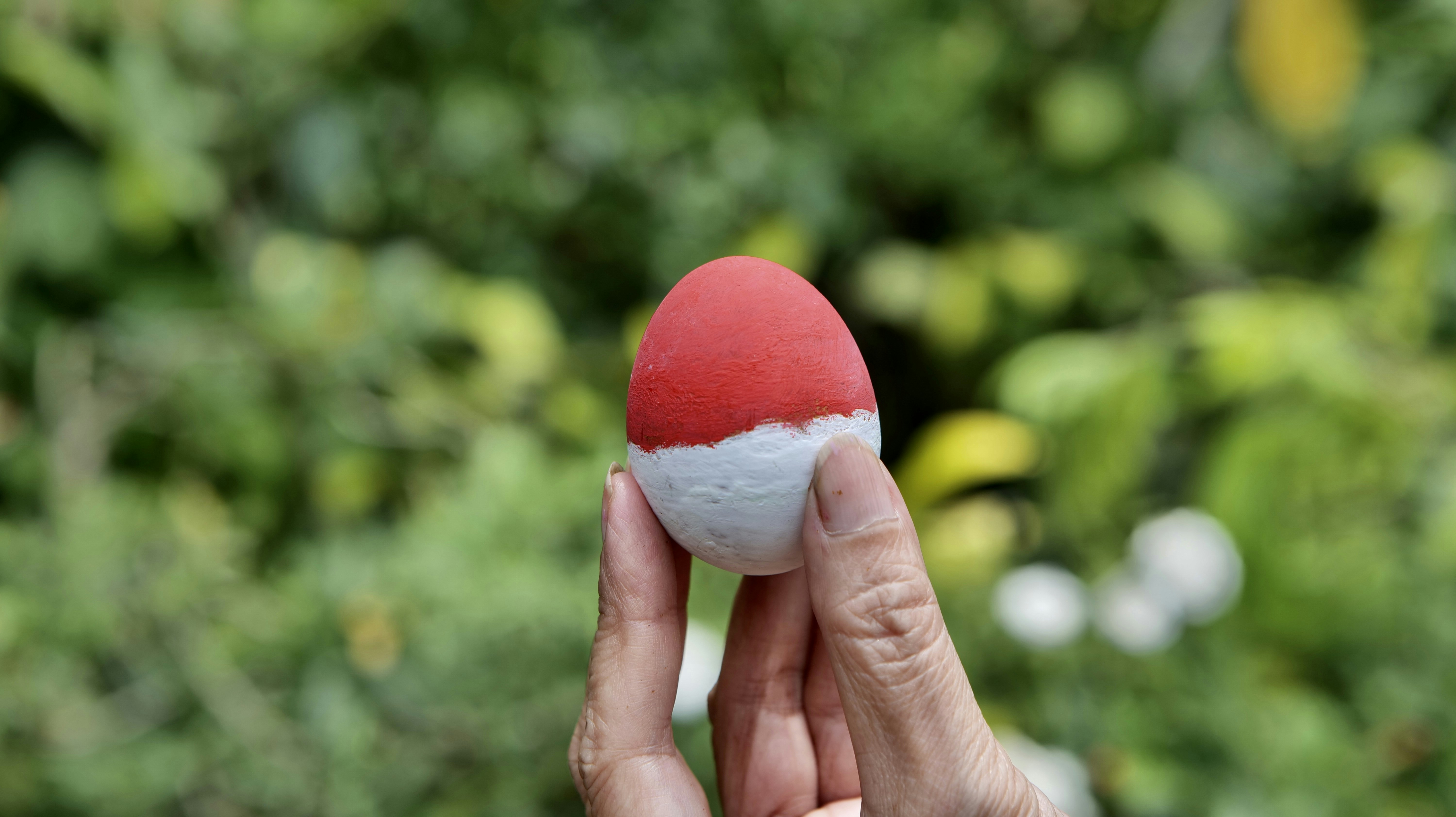 Go to mario ikada's profile