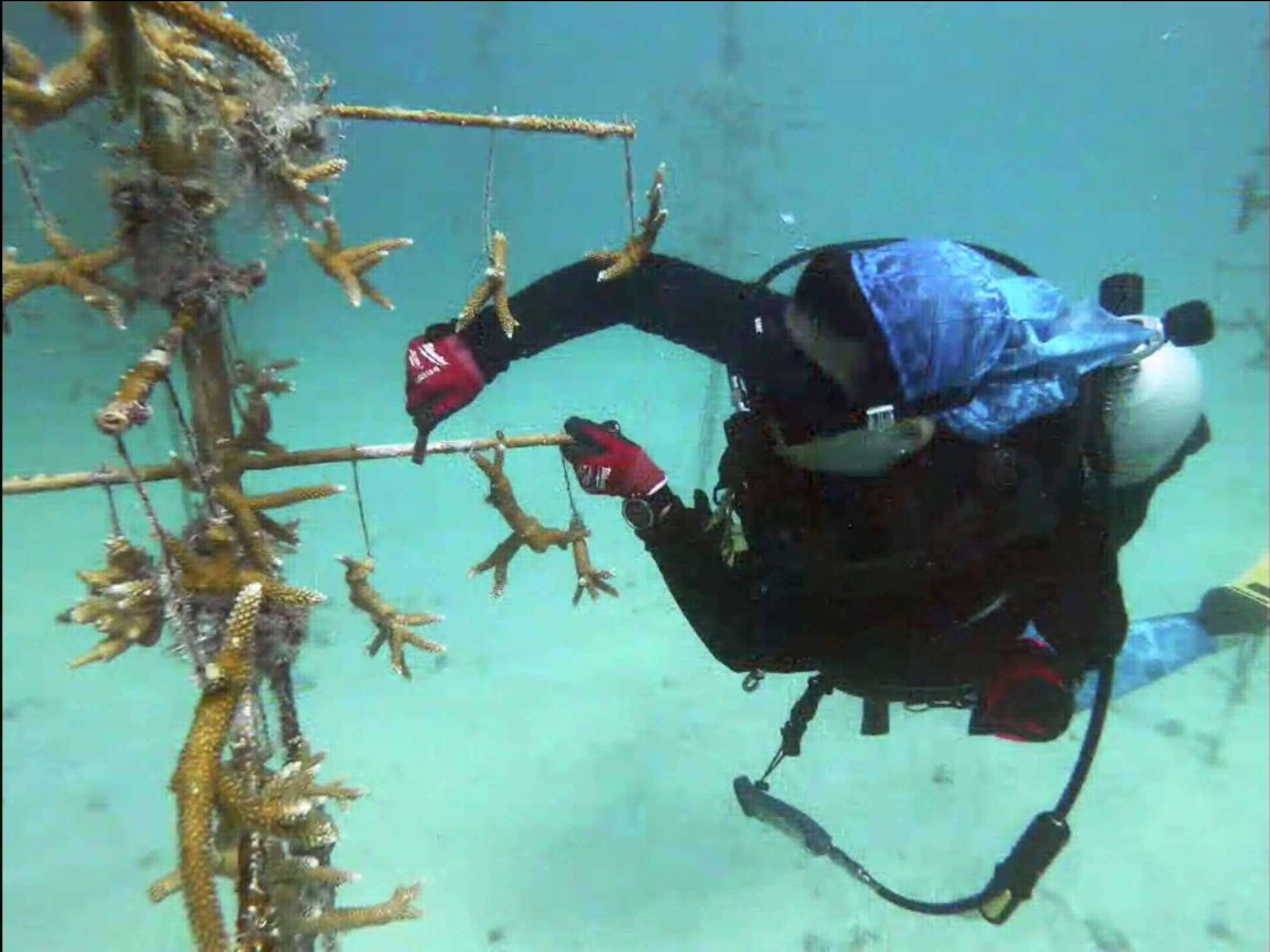 Go to eileen byrne's profile