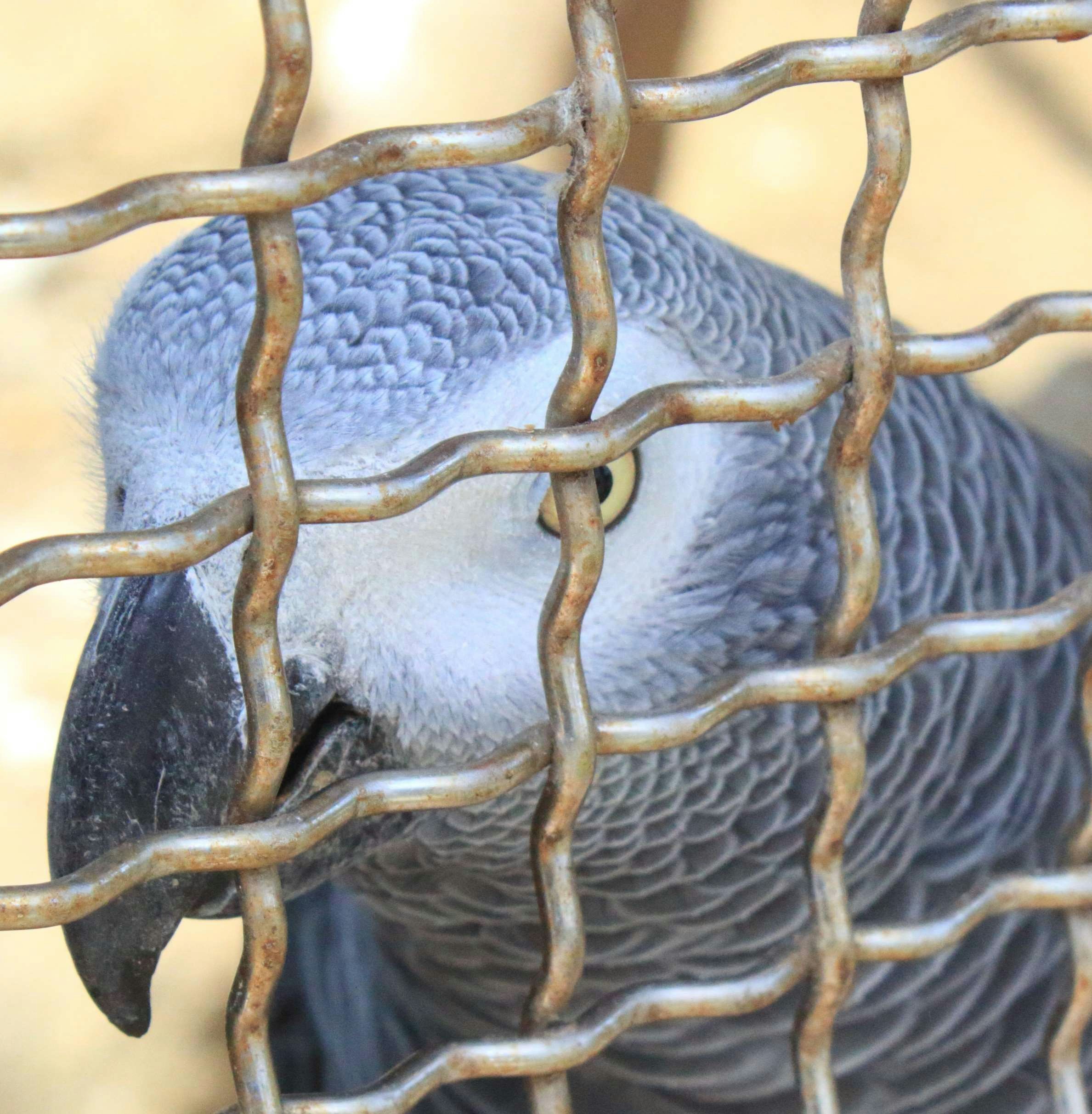 Ziyuan Gaoのプロフィールを見る