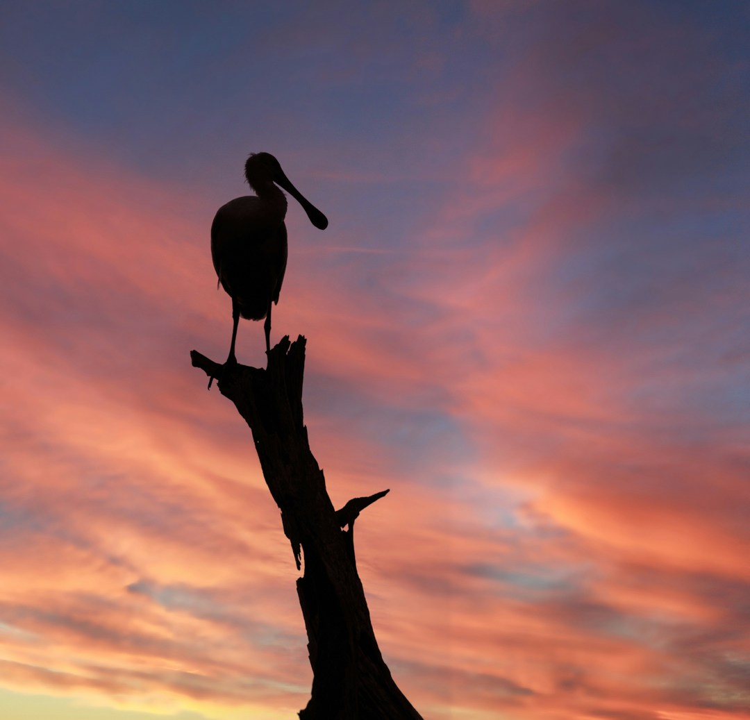 Go to Richard Sagredo's profile