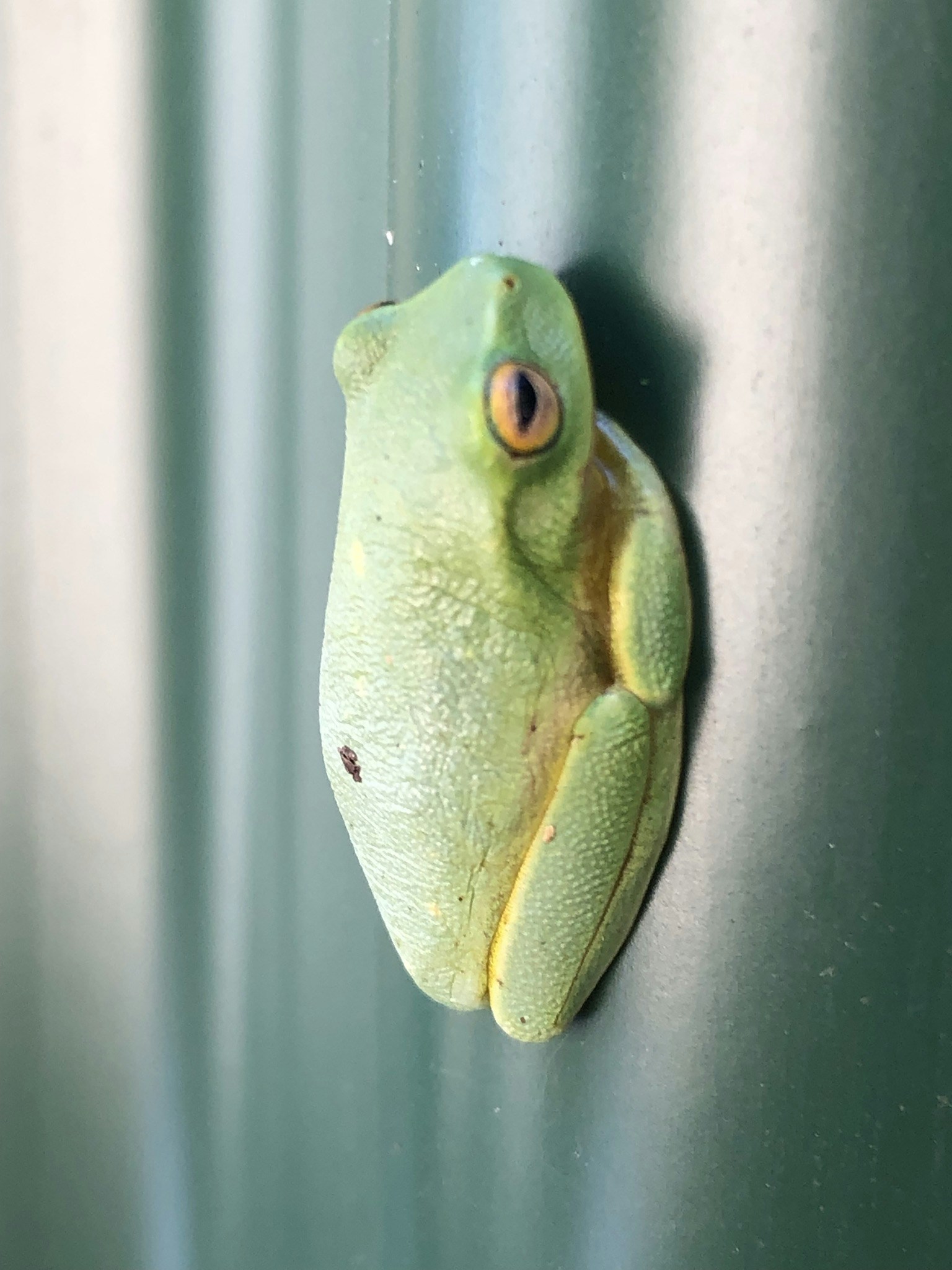 Go to Steve Franklin's profile