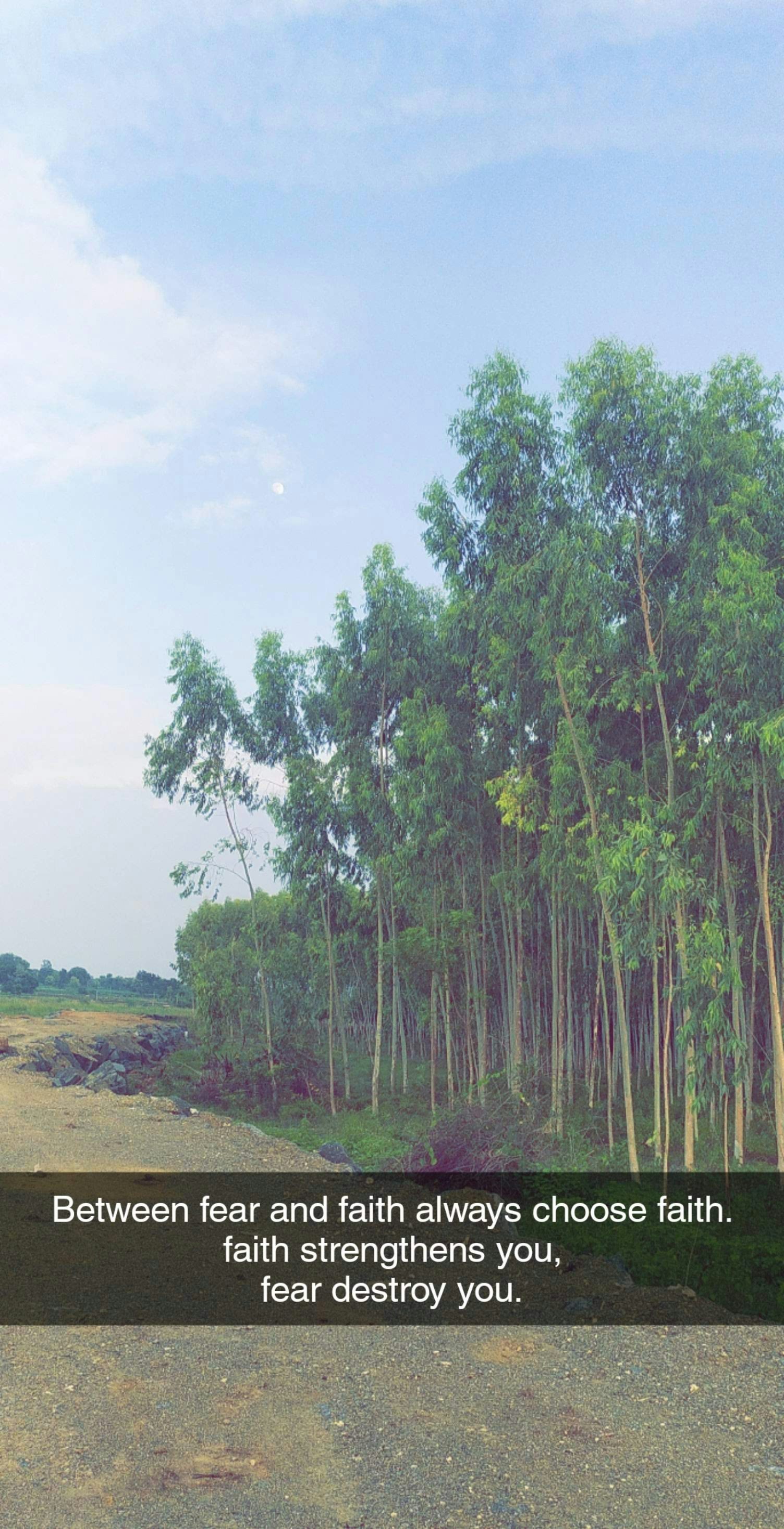 Go to Priya's profile