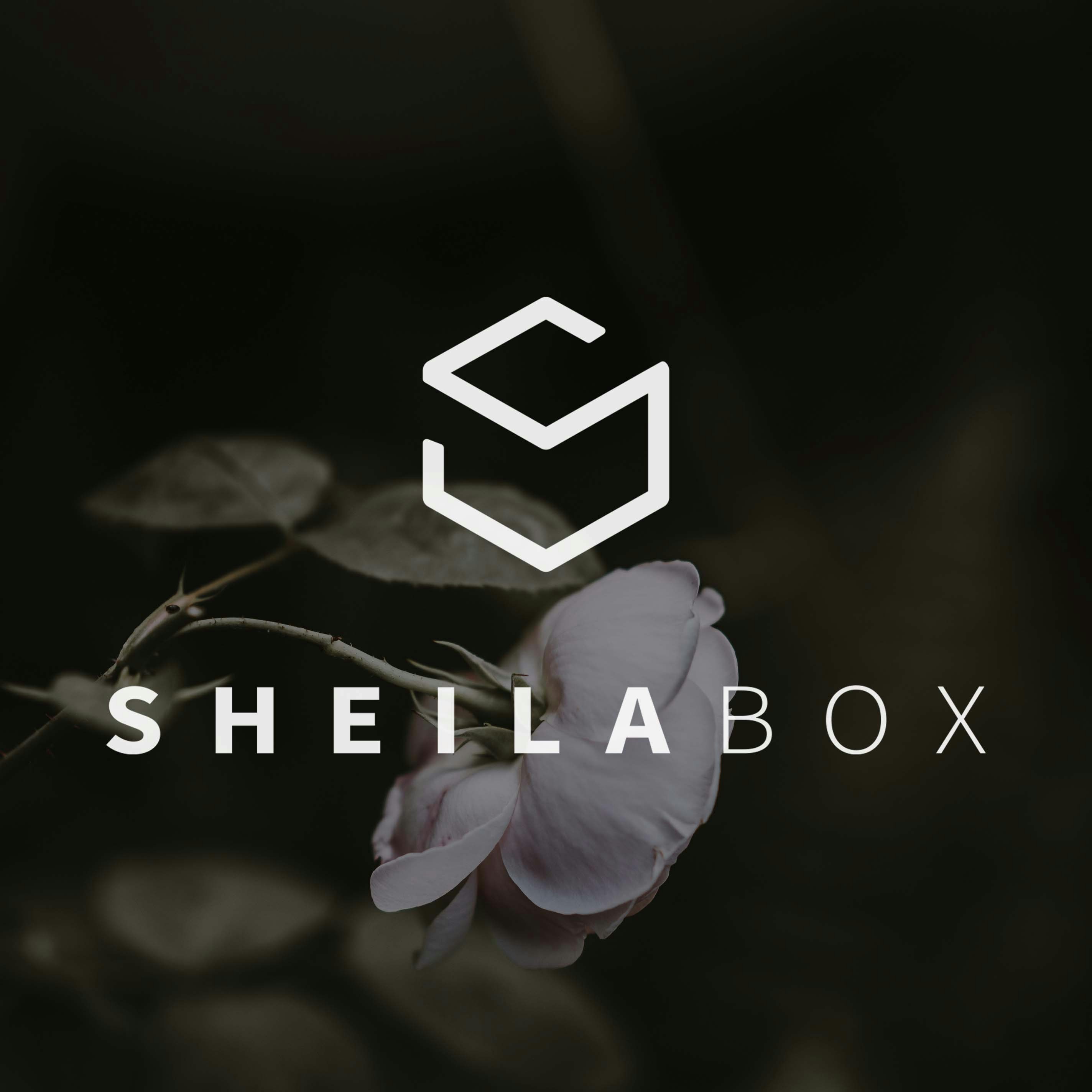 Go to sheilabox's profile