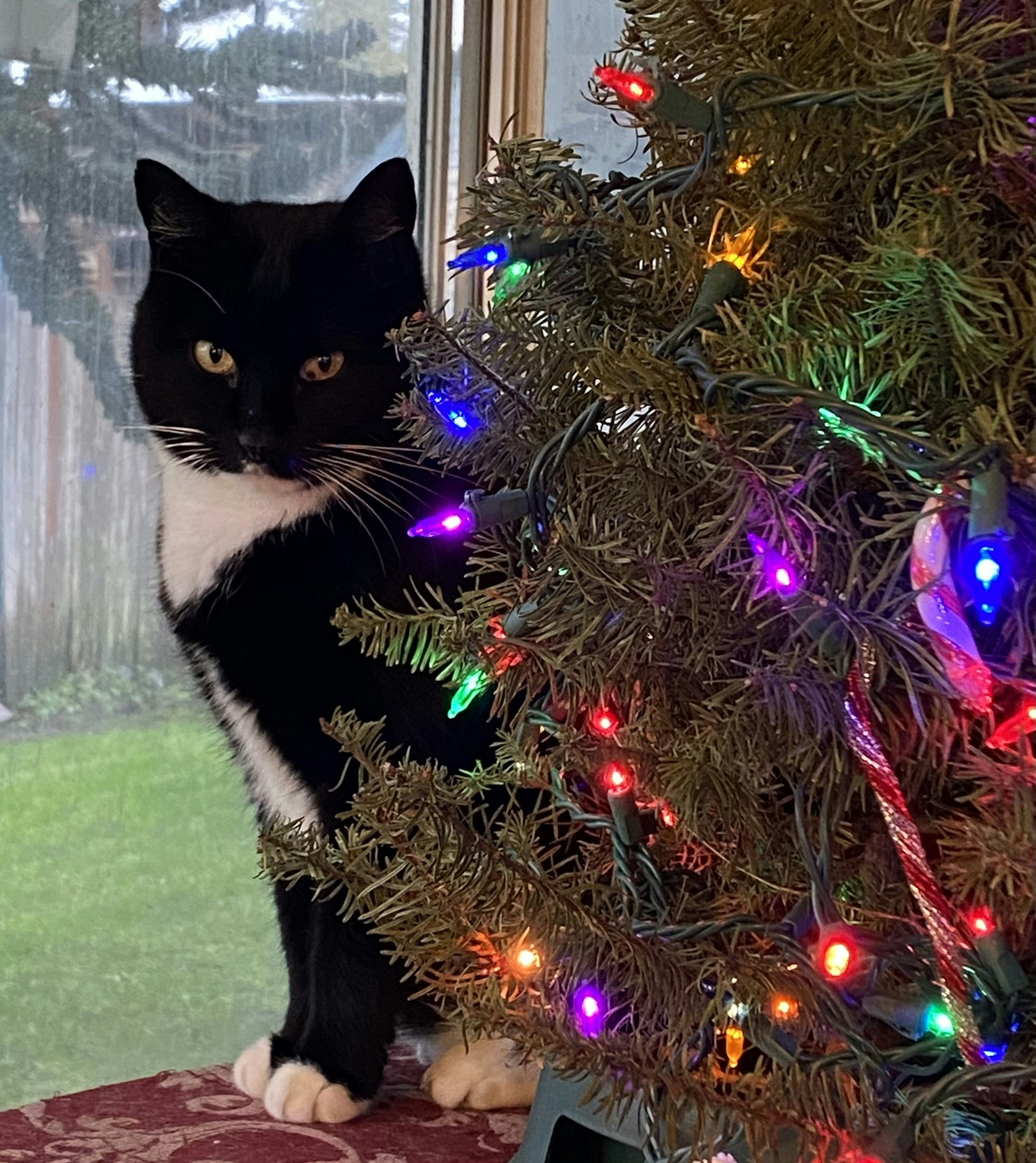 Go to Kay Brooks's profile