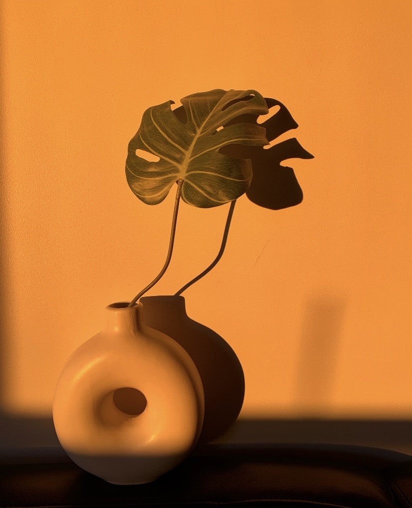 Go to Rita Ox's profile