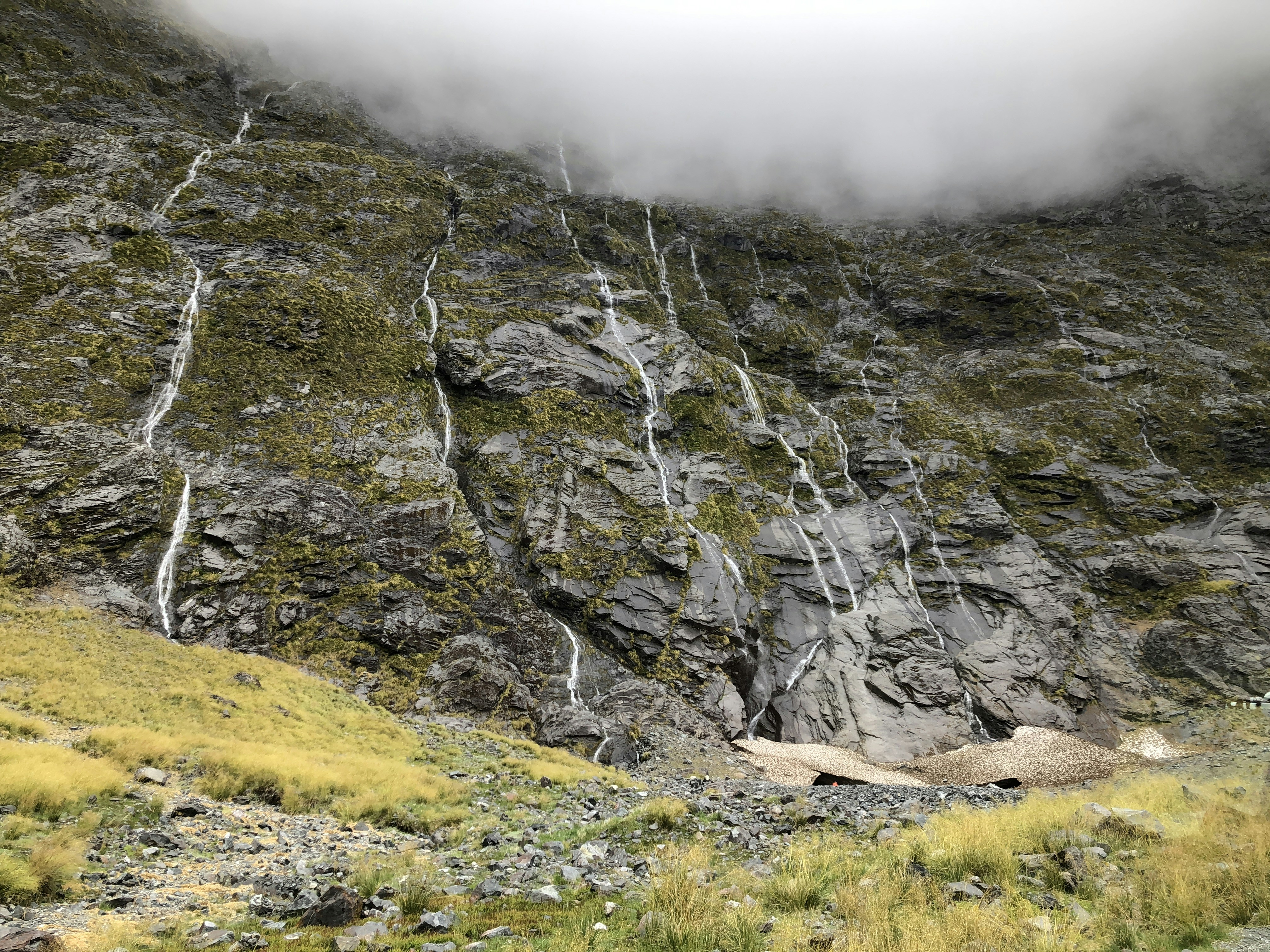 Avatar of user S. Hayashi