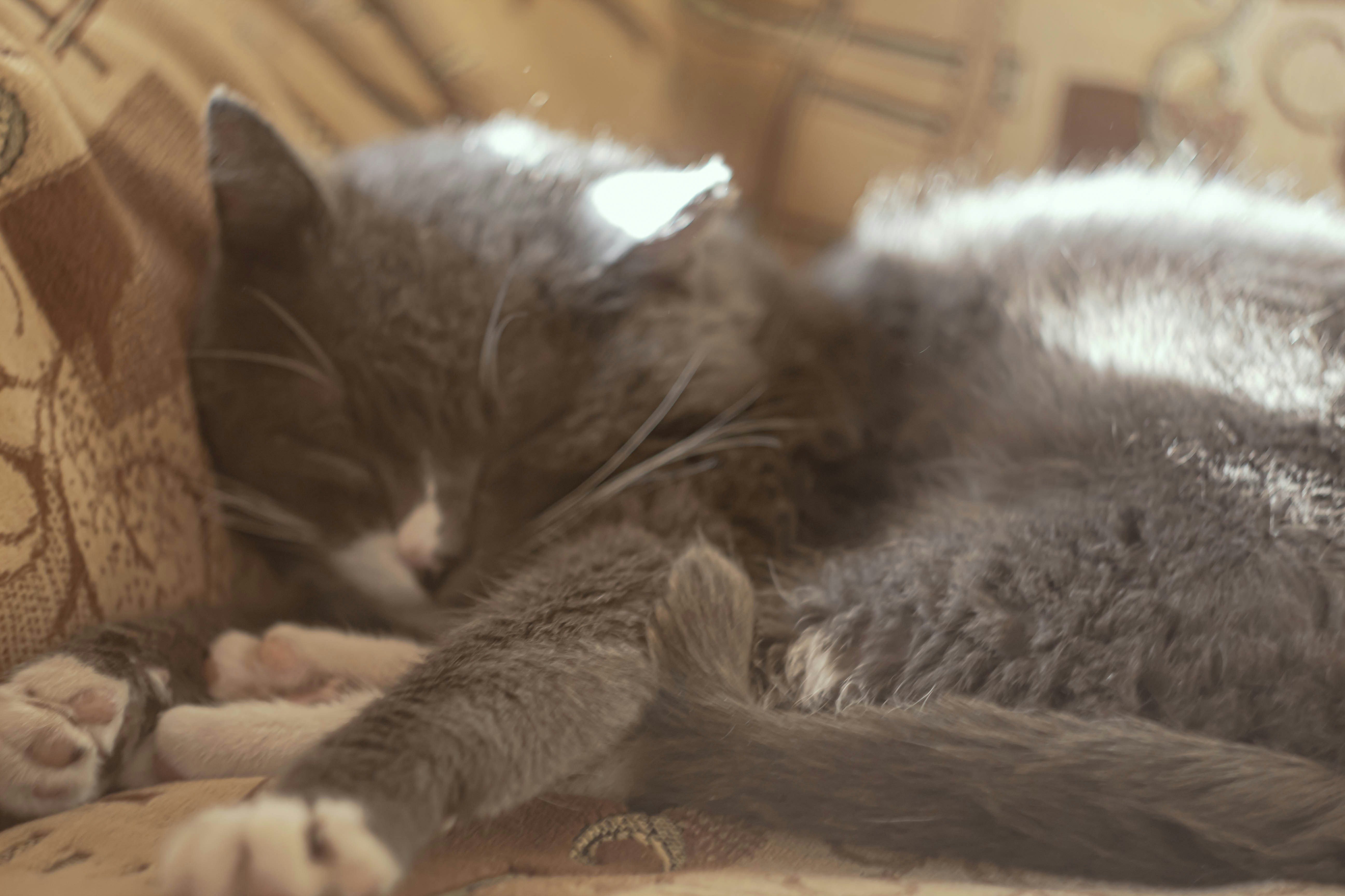 Go to Ilzar Syubaev's profile