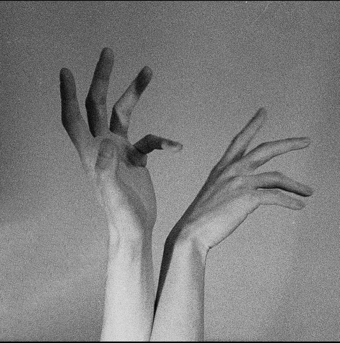 Go to ench's profile