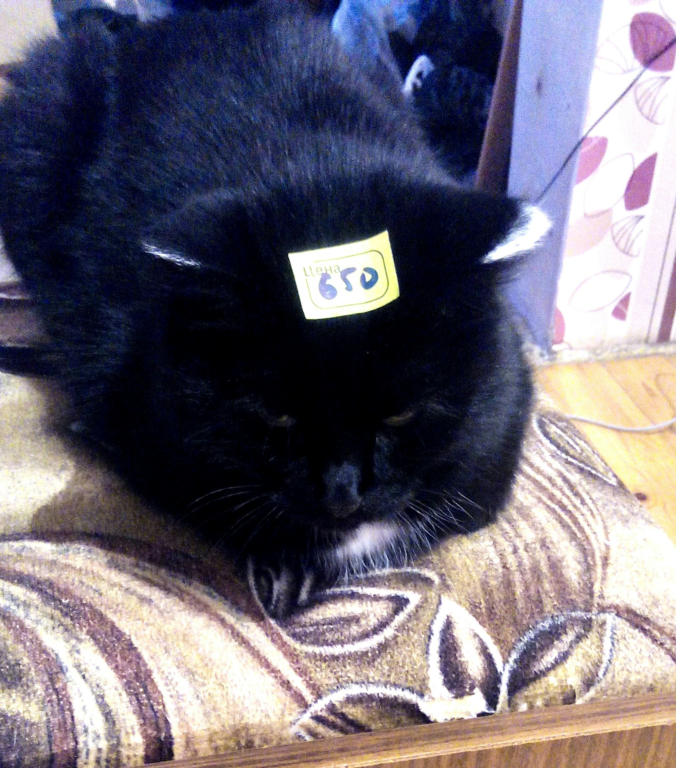 Go to Vladimir's profile