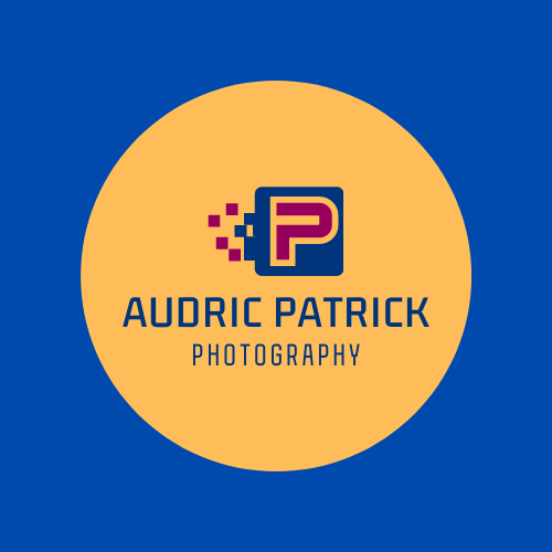 Go to Audric Patrick's profile