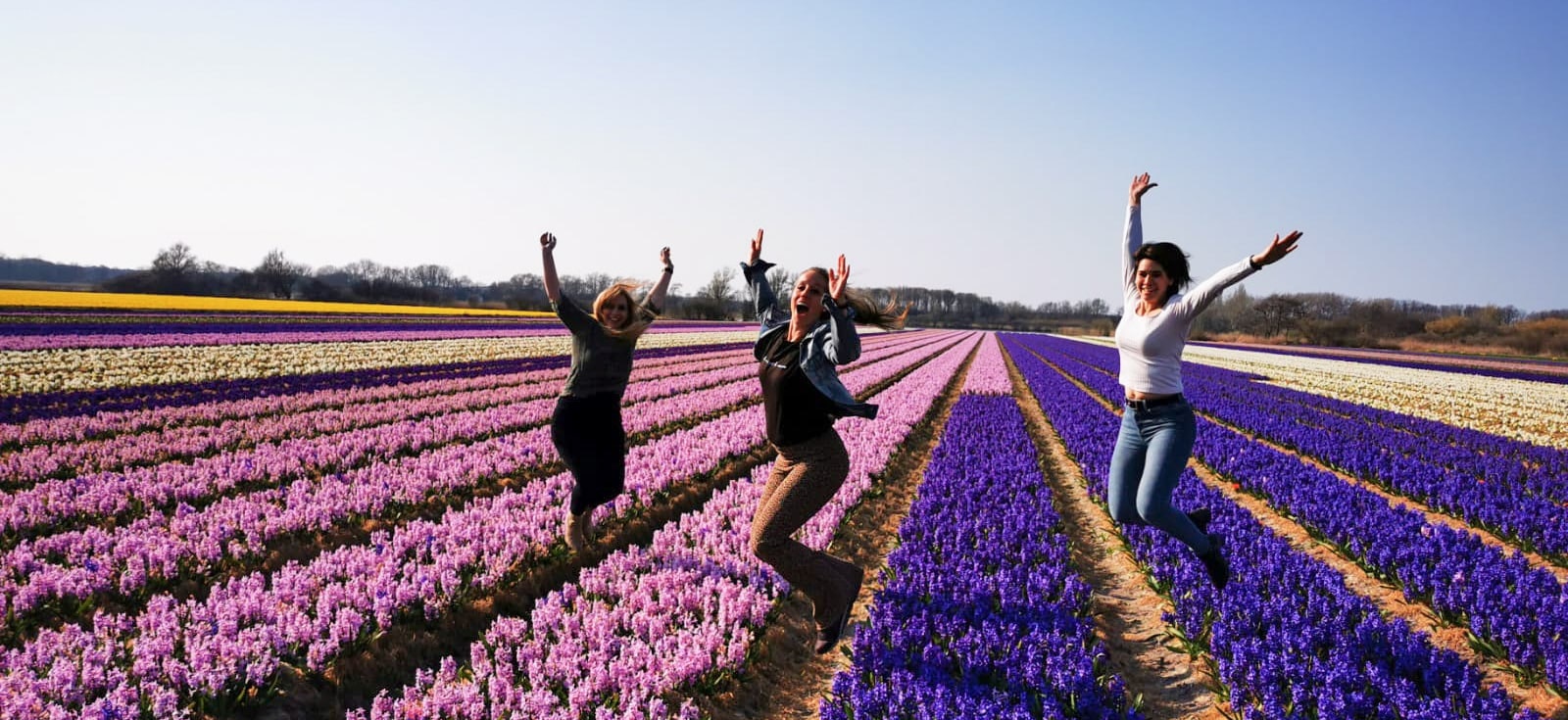 Go to Evy van Kan's profile