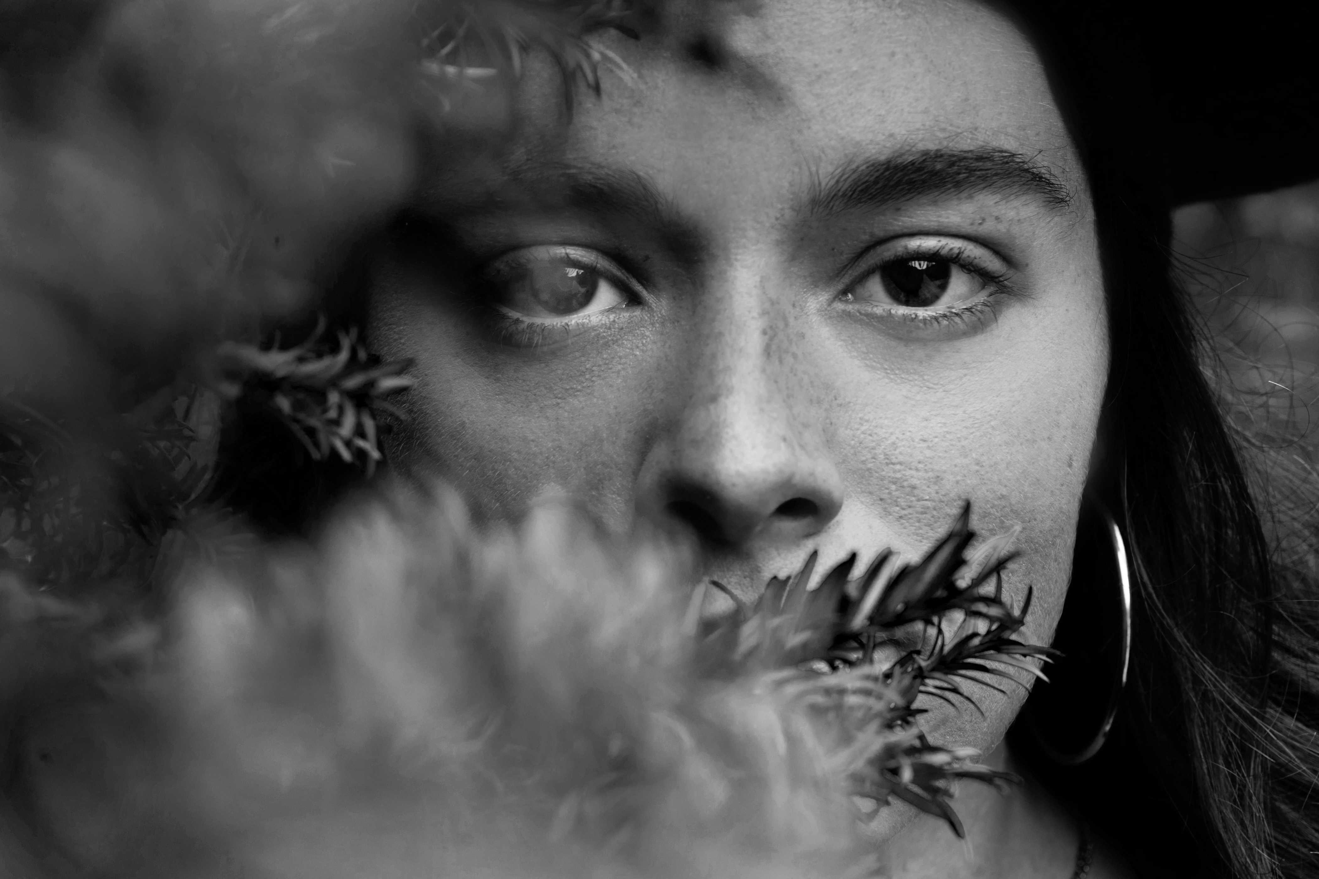 Ve al perfil de P.A.U.L.A