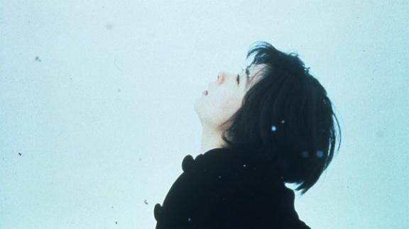 Go to DACHENGZI LIANG's profile