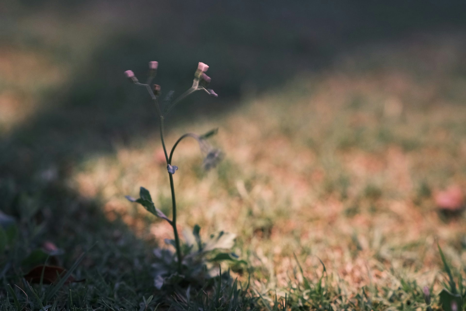 Go to Capture @Moments's profile