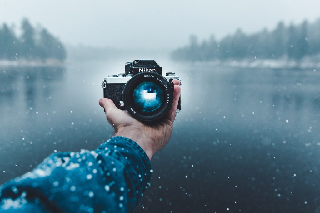 Go to Licy J's profile