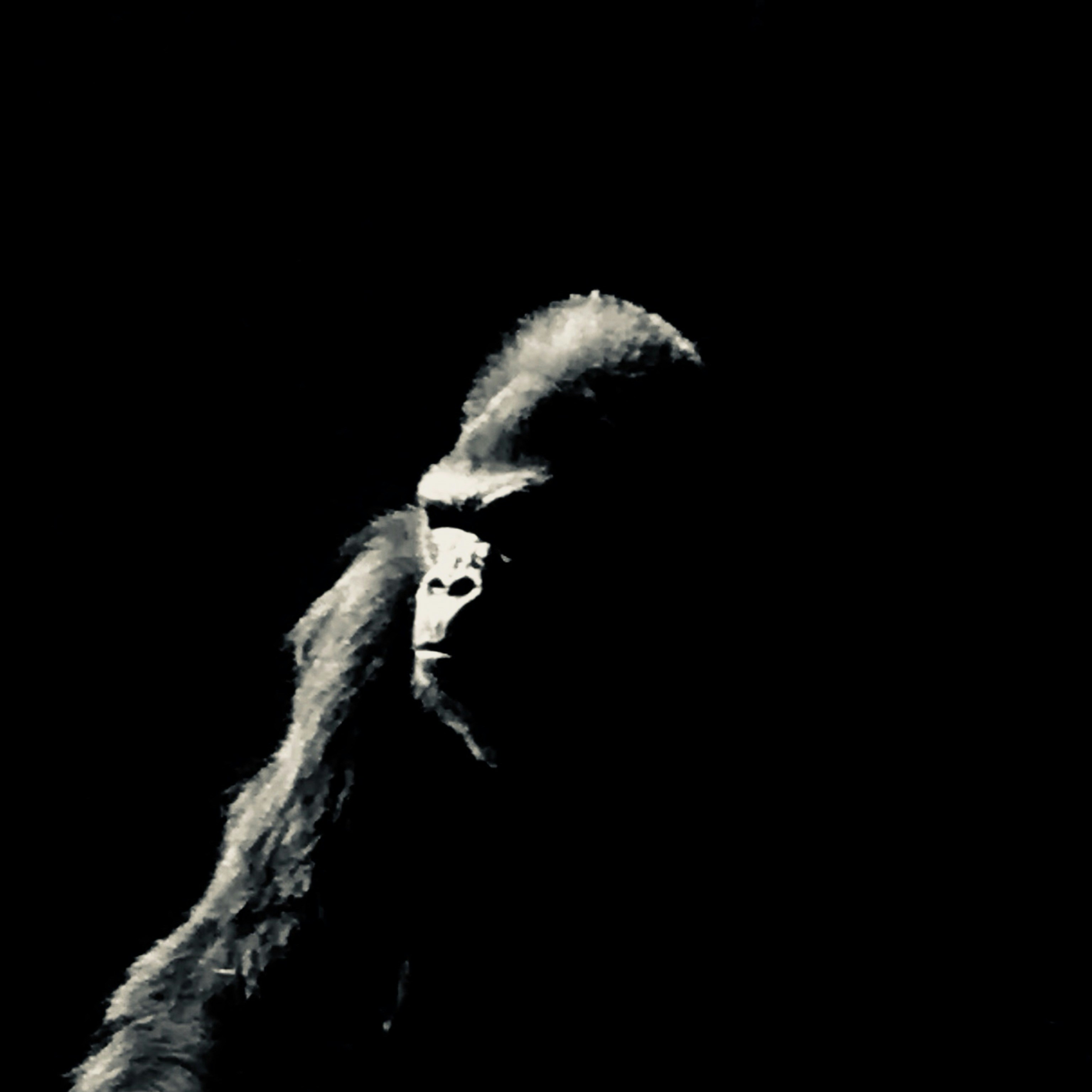 Avatar of user Mr Mulligan