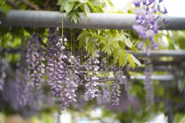 Go to Sunnyday Pictures's profile