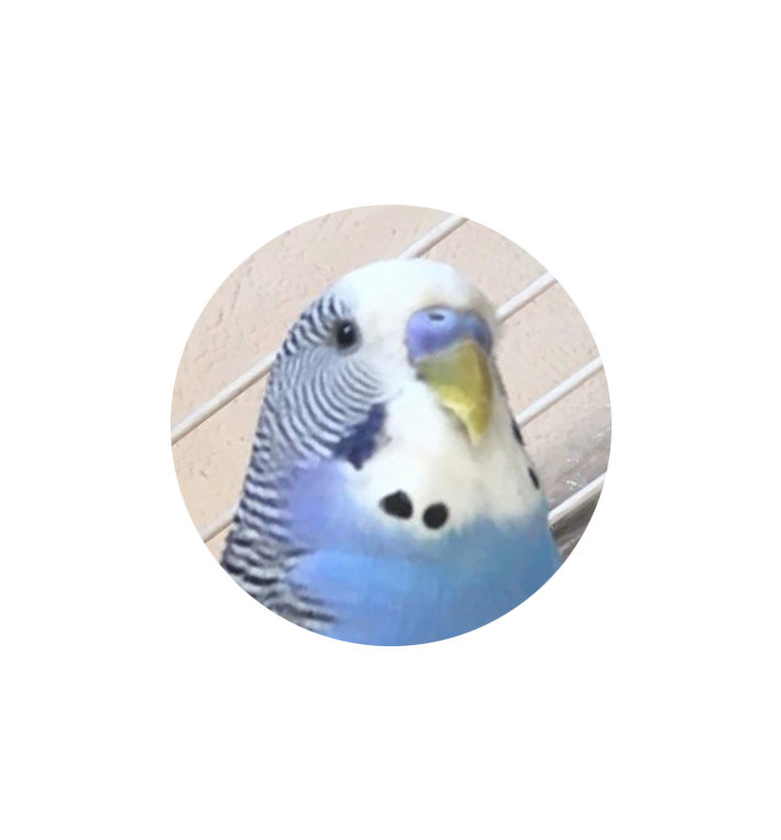 Go to Vladislav Glukhotko's profile