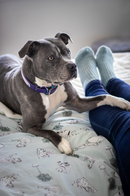 Go to Amy Starr's profile