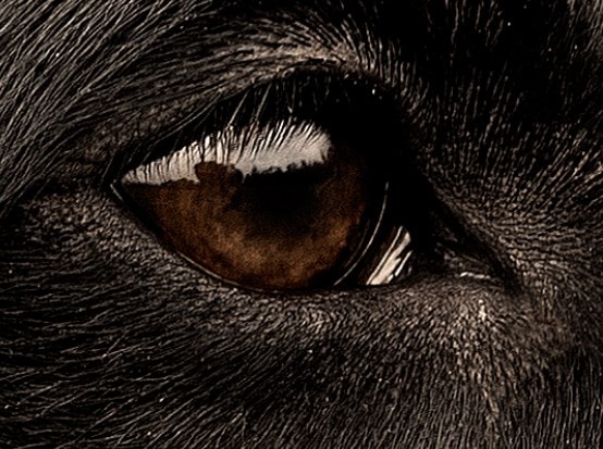 Go to Maria Steenberg Nielsen's profile