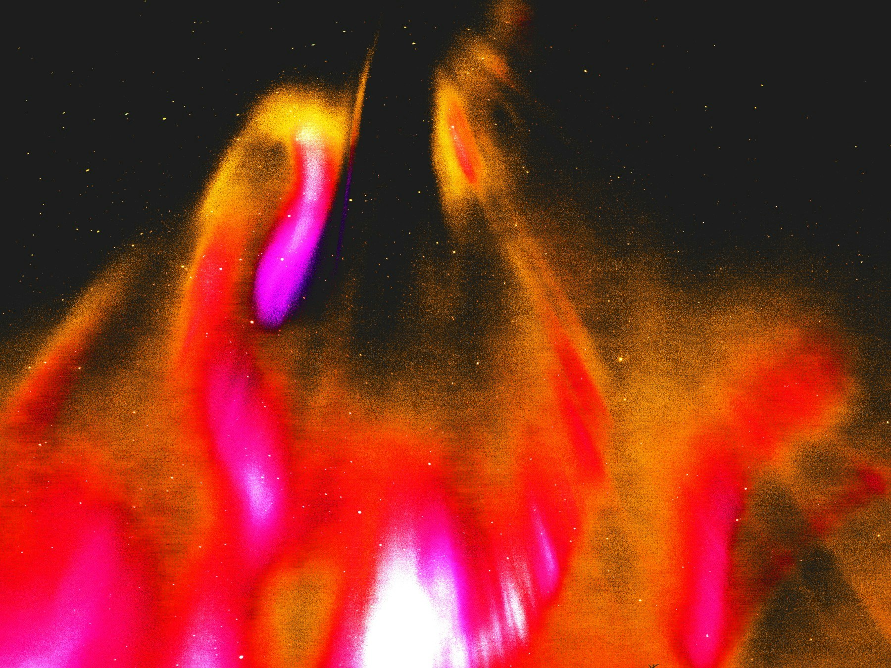 Go to Laela Sequoia's profile