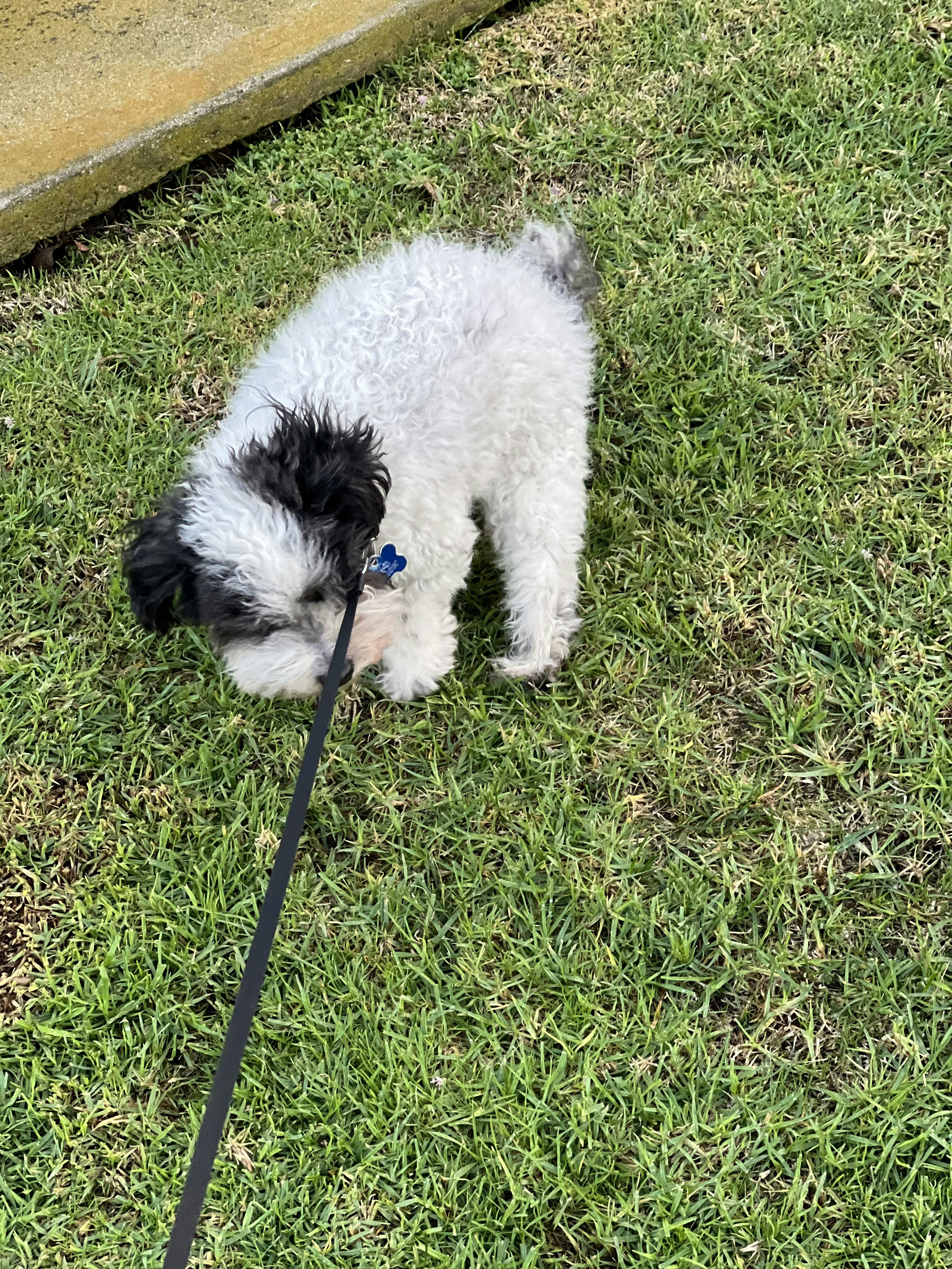 Go to Jack Ben's profile