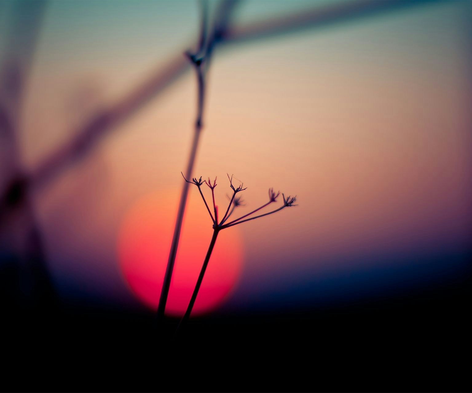 Go to Hai Uddin's profile