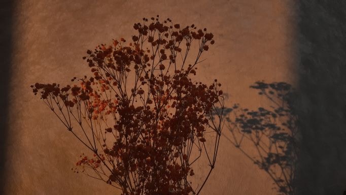 Go to Ceci Li's profile