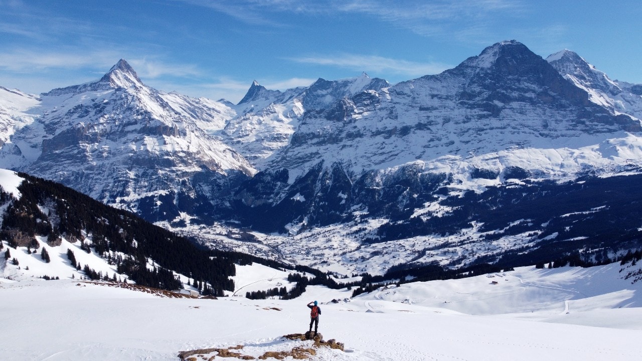 Ve al perfil de Seb Mooze