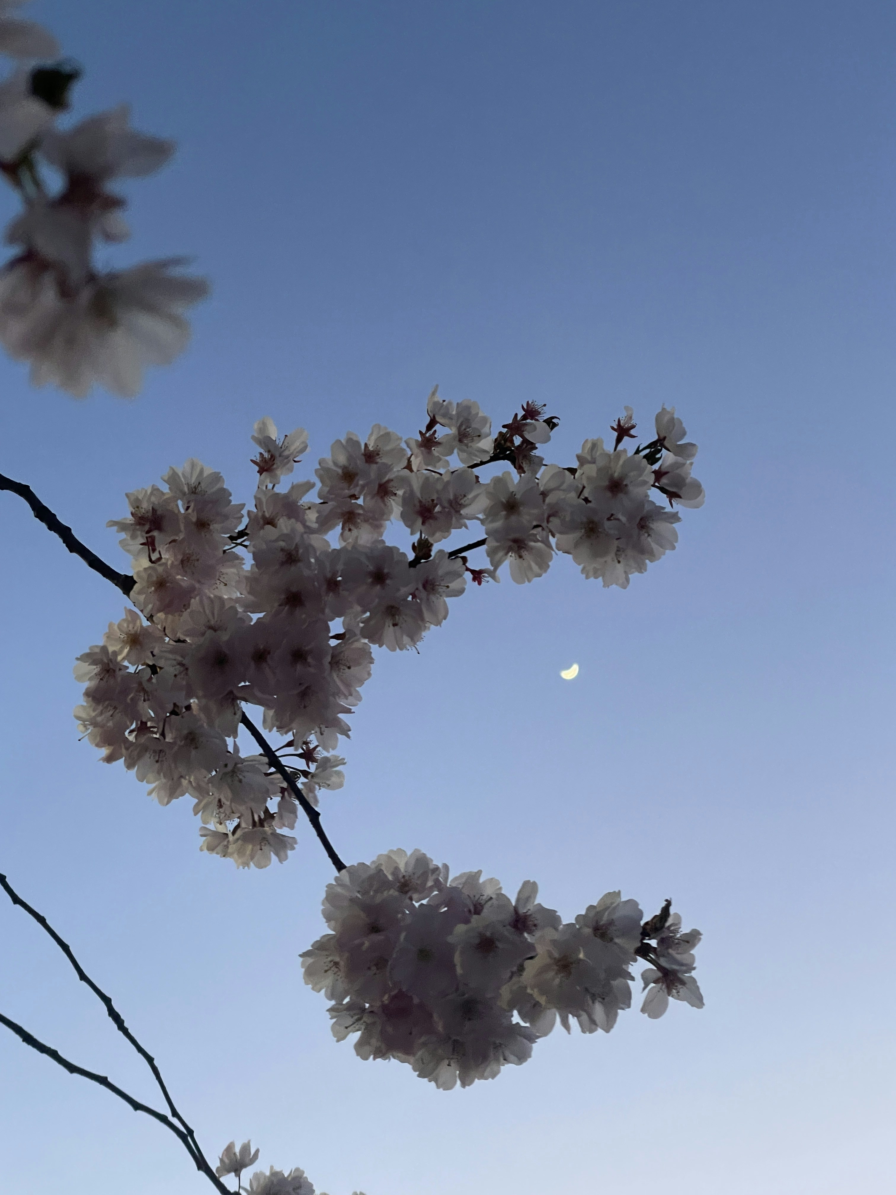 Zum Profil von Tomaz Kastrun