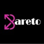 Avatar of user bareto net