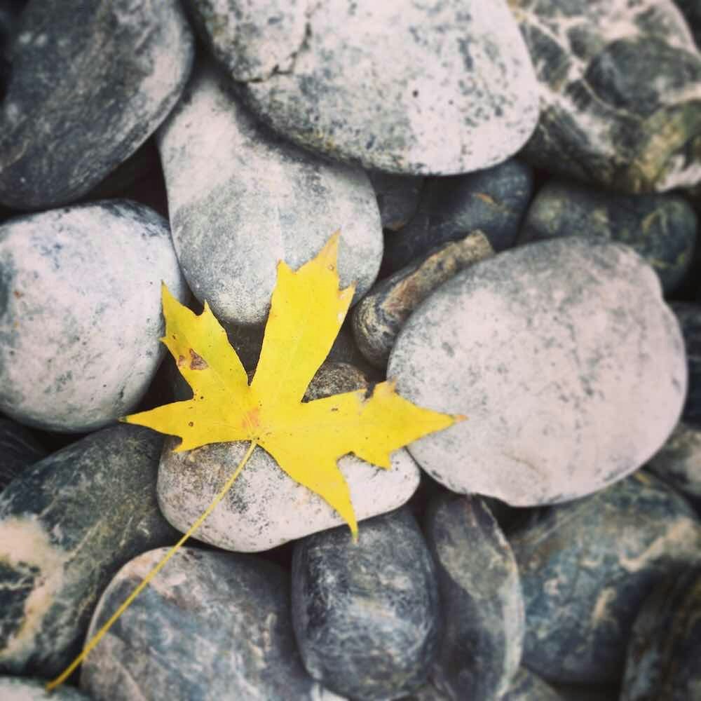 Go to Kyle Zhang's profile