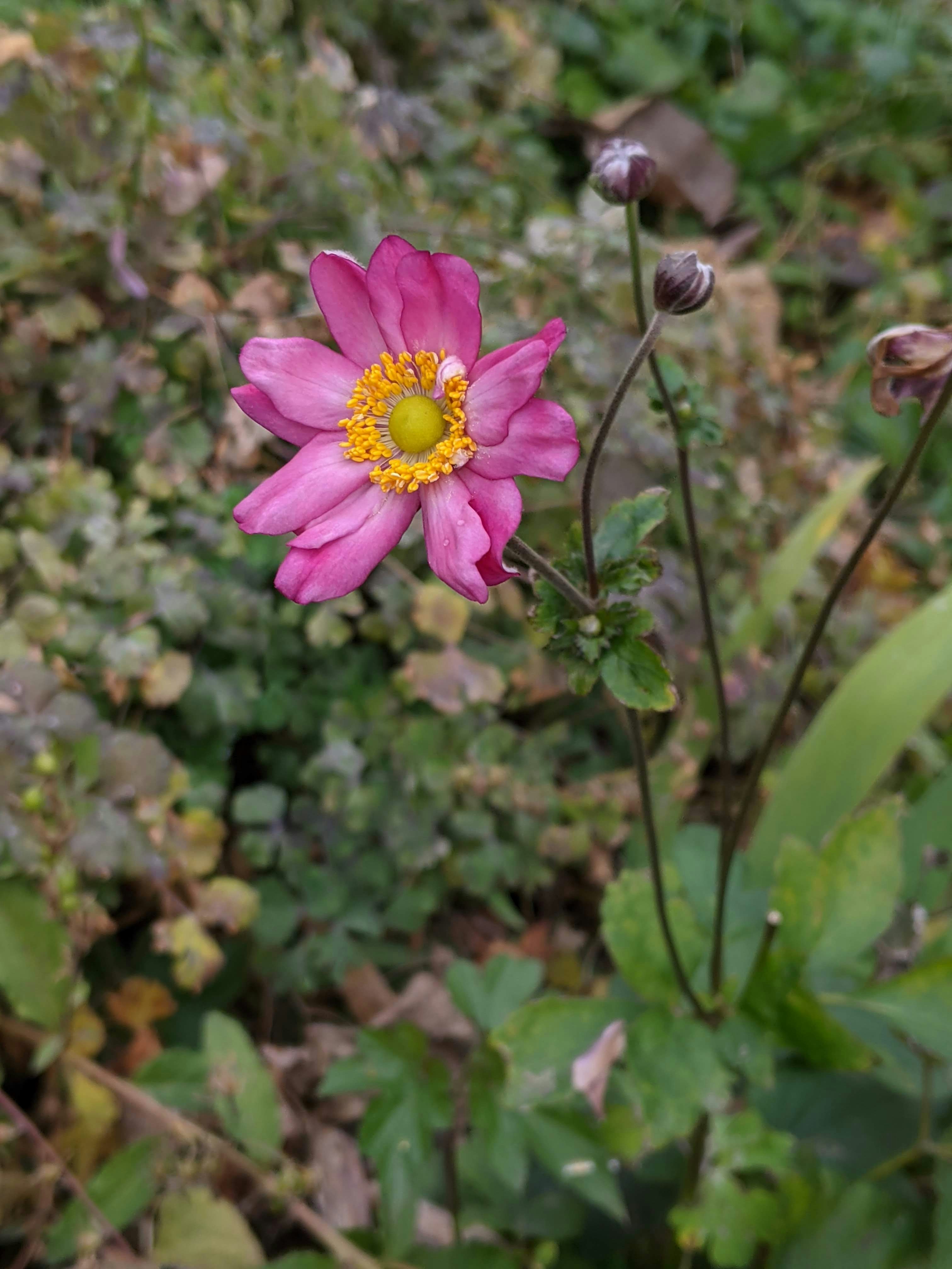 Go to A Schad's profile