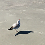 Go to chuck bg's profile