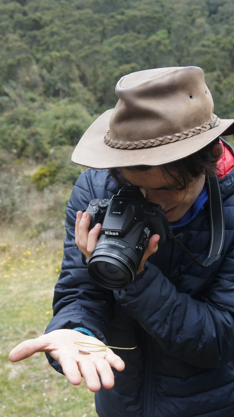 Go to Daniel Restrepo Londoño's profile