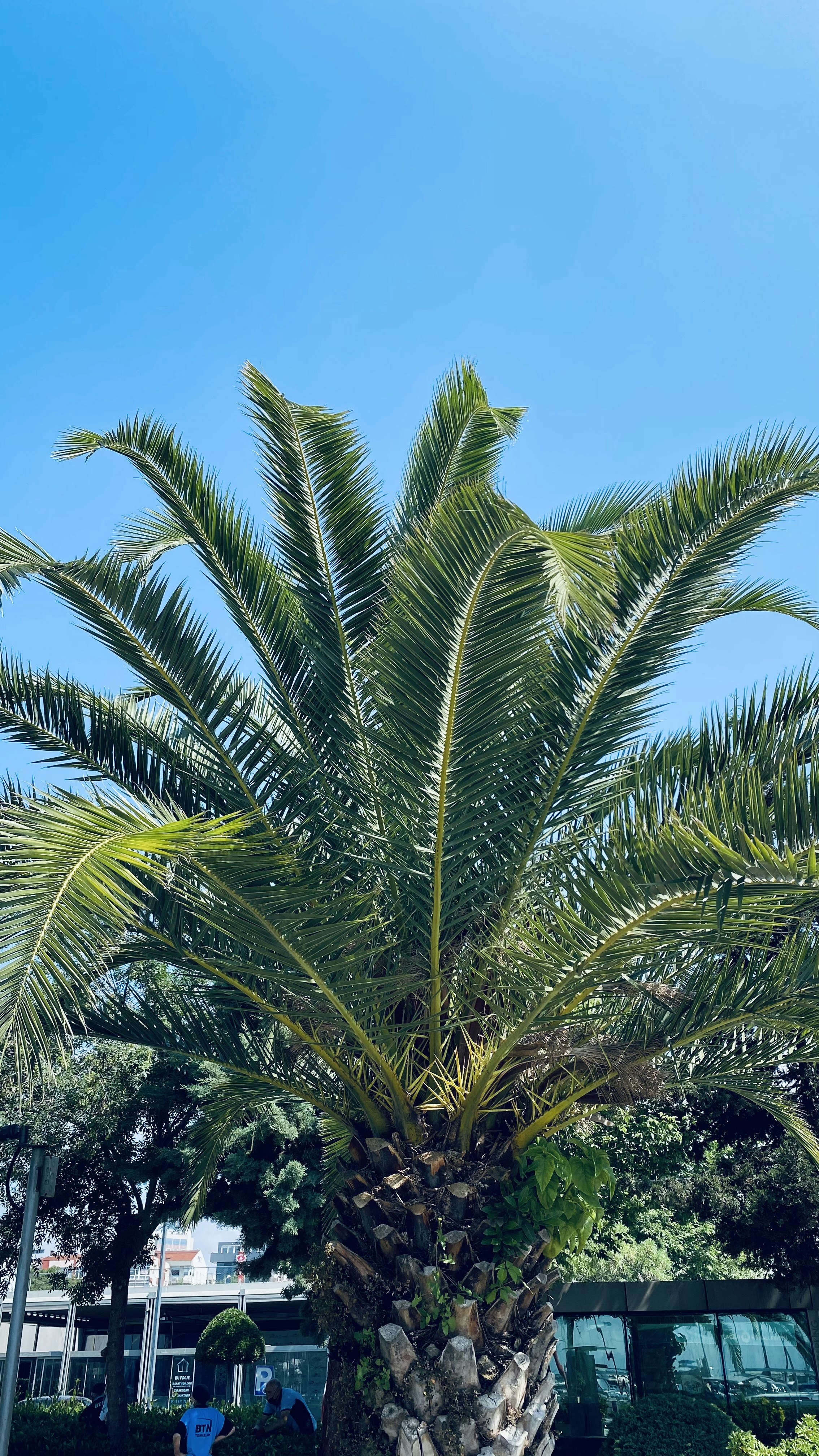 Go to ZAINEB S.ZEYANI's profile