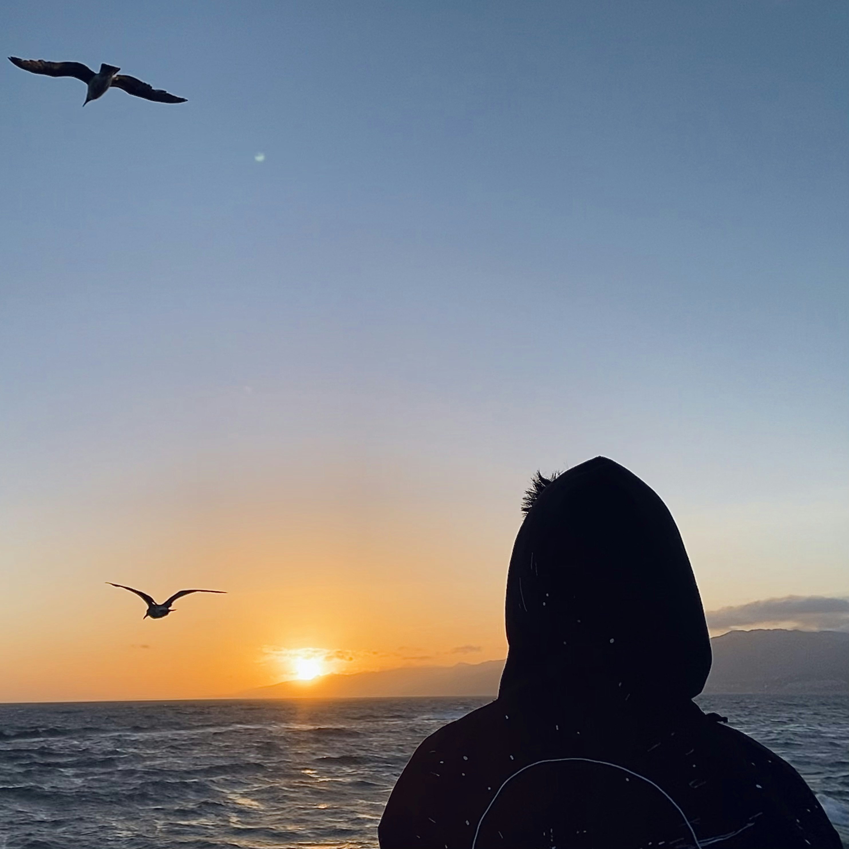 Accéder au profil de Melo Liu