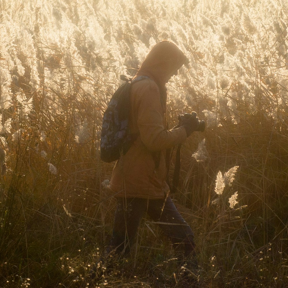 Go to Anton Filatov's profile