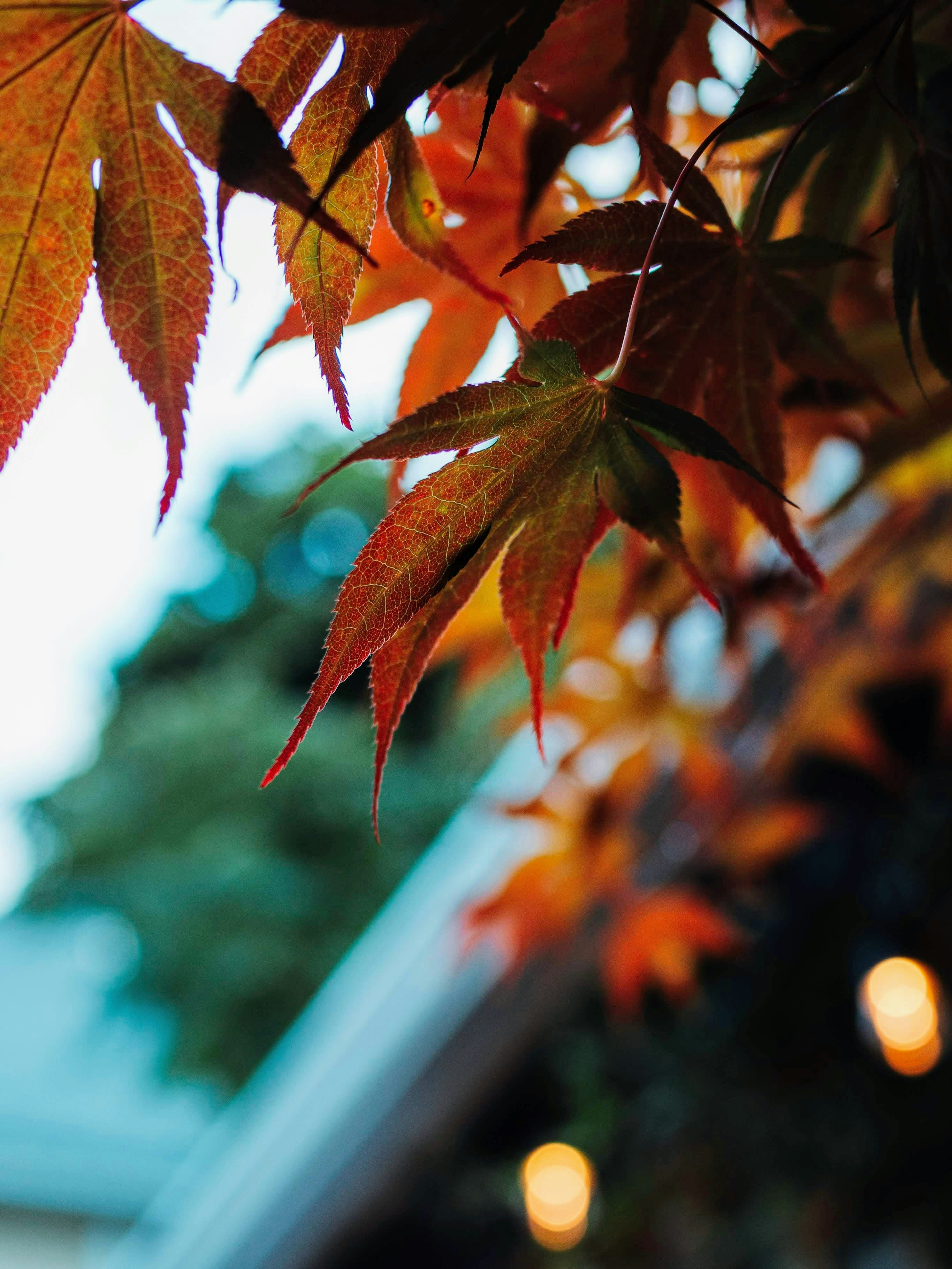 Go to Kentaro Toma's profile